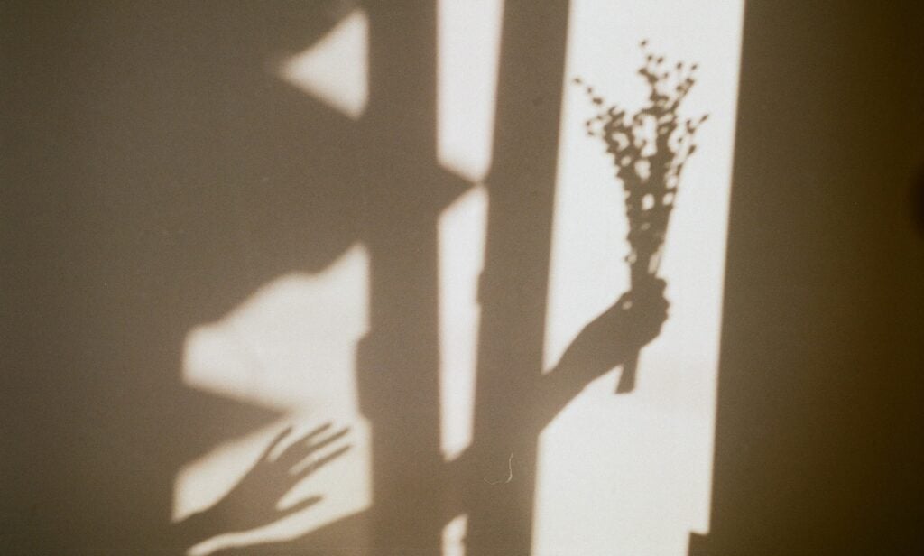 Ombre d’une main tendue et d’un bouquet de fleurs projetée sur un mur au soleil, jeu d’ombres créatif pour enfant