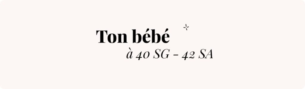 40 semaines de grossesse en mois (où en est bébé ?) – Échographie voir bébé