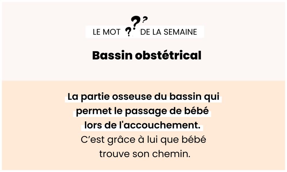 Bassin obstétrical – Structure osseuse influençant l’accouchement.