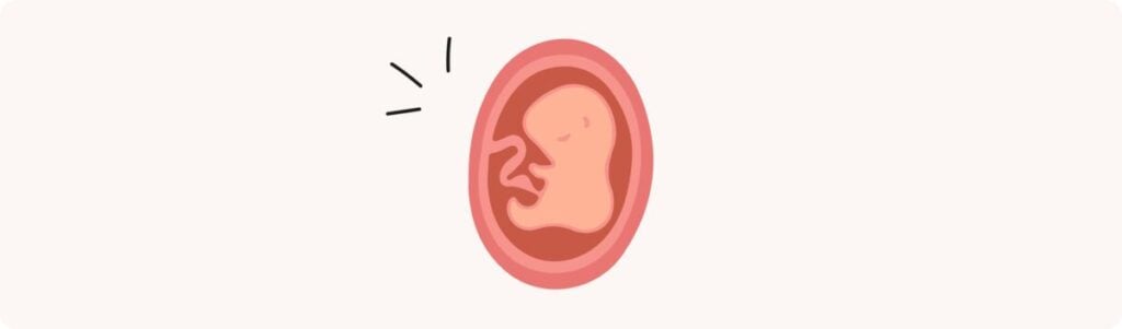 15 semaines de grossesse (17 SA) – Développement de bébé, taille, fœtus, embryon

