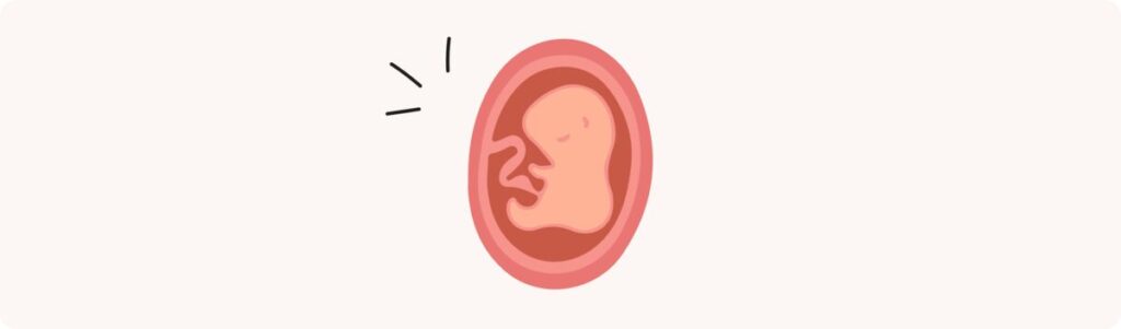 16 semaines de grossesse (18 SA) – Développement de bébé, taille, fœtus, embryon