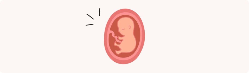 19 semaines de grossesse (21 SA) – Développement de bébé, taille, fœtus, embryon