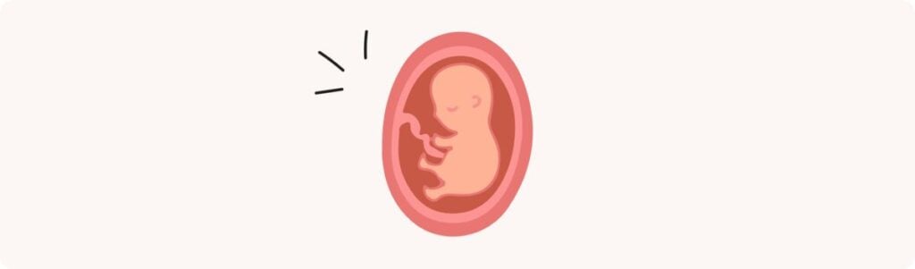 22 semaines de grossesse (24 SA) – Développement de bébé, taille, fœtus, embryon