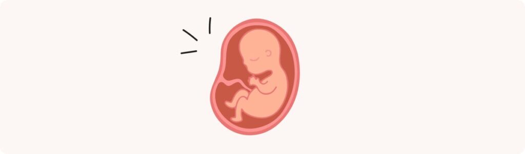31 semaines de grossesse (33 SA) – Développement de bébé, taille, fœtus, embryon