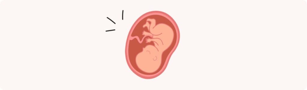 36 semaines de grossesse (38 SA) – Développement de bébé, taille, fœtus, embryon