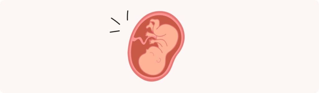 39 semaines de grossesse (41 SA) – Développement de bébé, taille, fœtus, embryon
