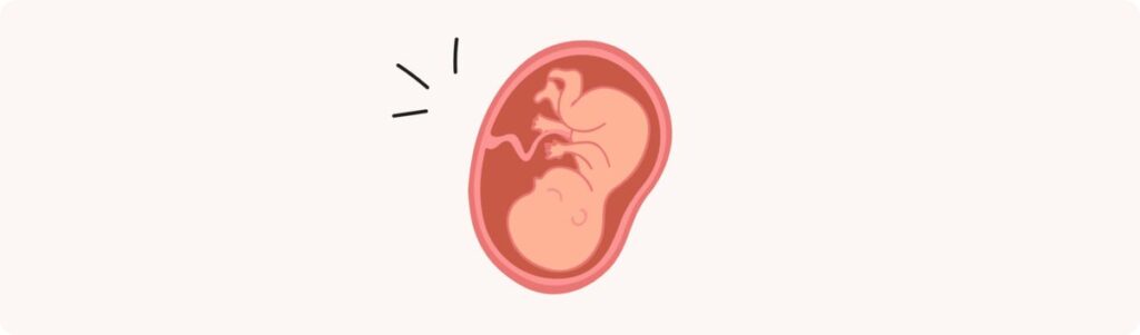 40 semaines de grossesse (42 SA) – Développement de bébé, taille, fœtus, embryon
