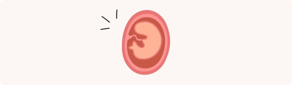 8 semaines de grossesse (10 SA) – Développement de bébé, taille, fœtus, embryon