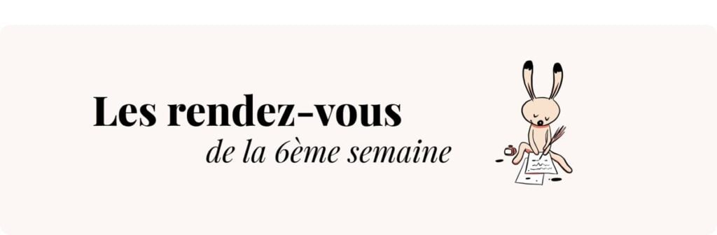 Grossesse 6 semaines – Rendez-vous médicaux