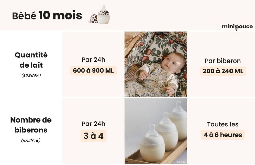 Quantité de lait bébé de 10 mois : 200 à 240 ml de lait par biberon, 3 à 4 repas par jour, toutes les 4 à 6 heures
