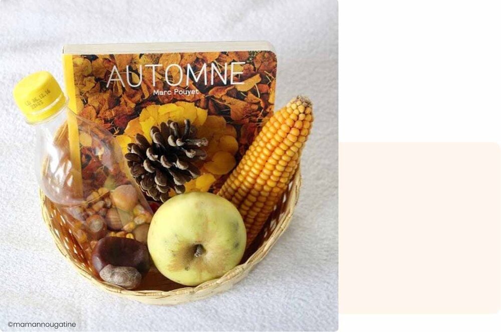 Panier d’automne avec maïs, pomme, pomme de pin et livre illustré, activité bébé 8 mois pour explorer