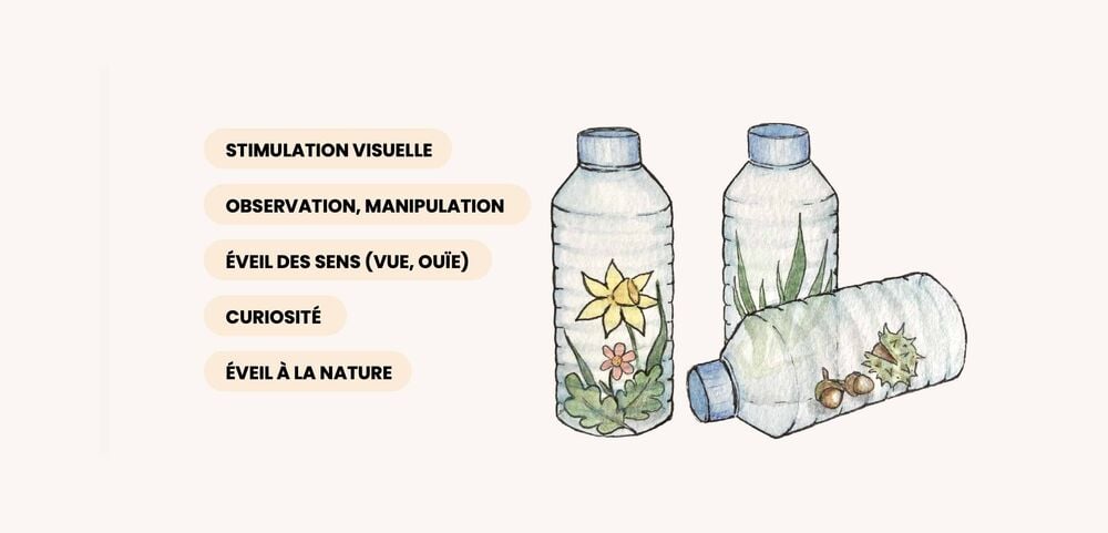Bouteilles sensorielles remplies d’éléments naturels, activité bébé 5 mois inspirée de la nature