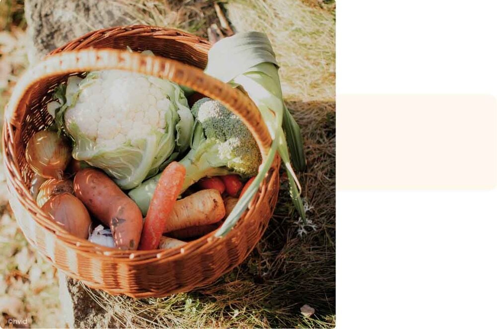 Panier rempli de légumes frais comme des carottes et du chou-fleur, activité bébé 7 mois autour des textures