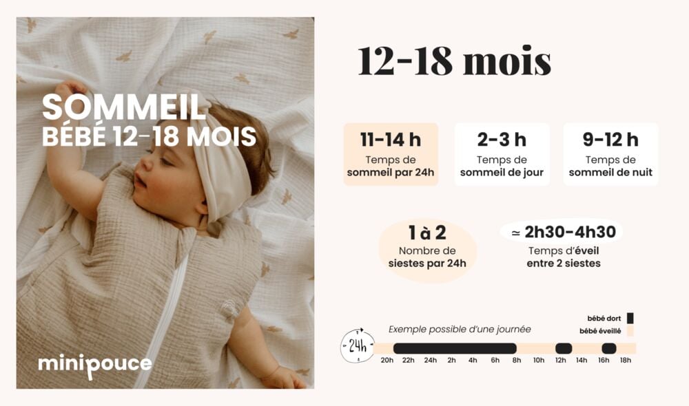 Tableau sommeil bébé 12-18 mois Minipouce avec 11 à 14 h de sommeil quotidien et 1 à 2 siestes