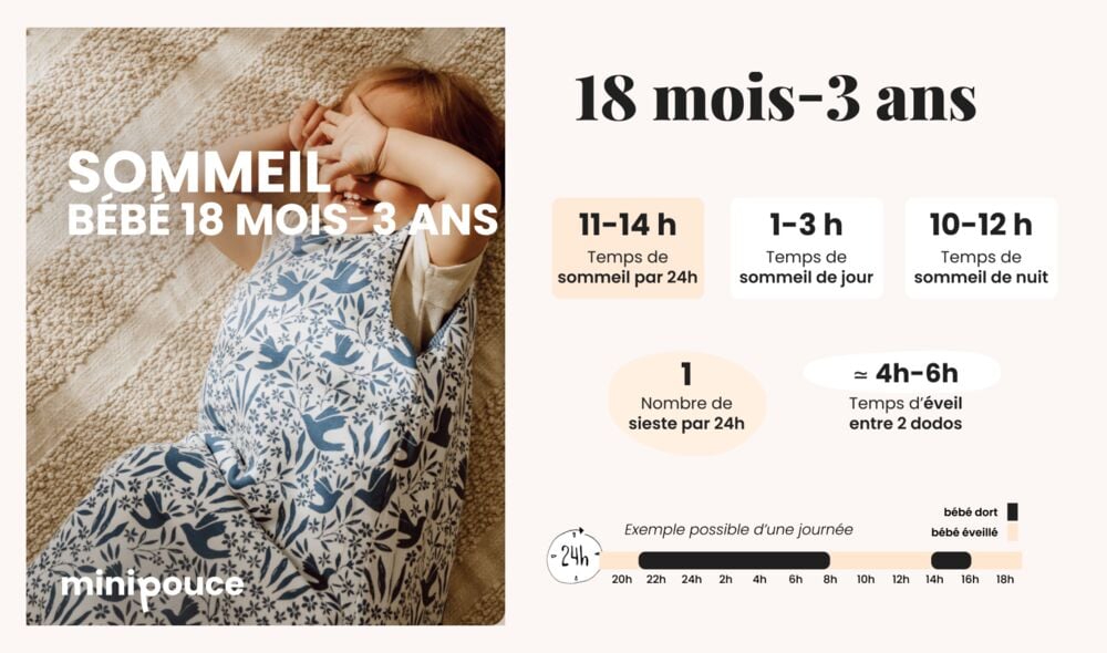 Infographie tableau sommeil bébé 18 mois à 3 ans indiquant 11 à 14 h de sommeil, 1 sieste et 4 à 6 h d’éveil entre deux dodos