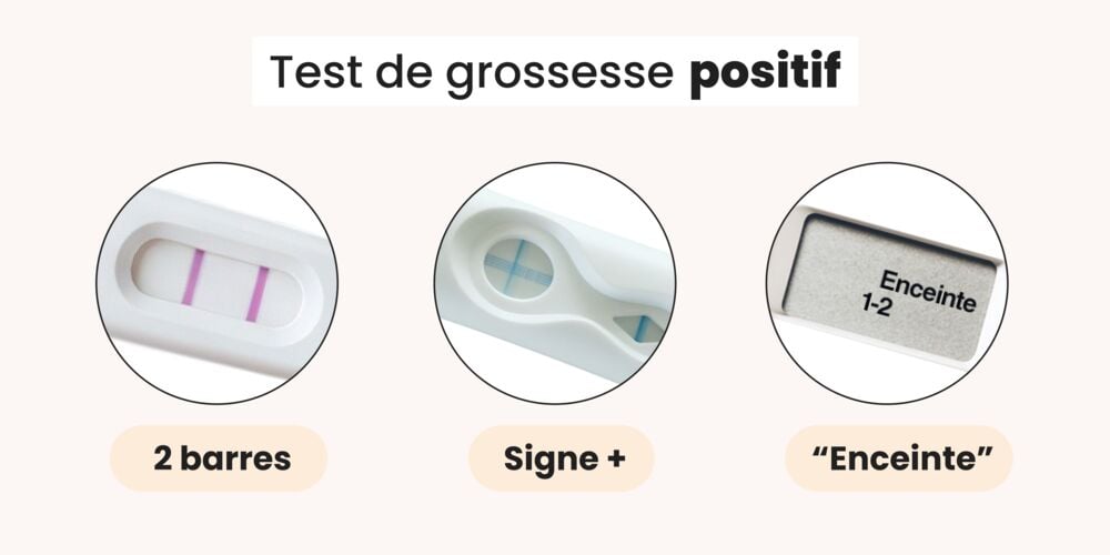 Test de grossesse positif : deux barres, signe plus ou mention "Enceinte" selon le modèle